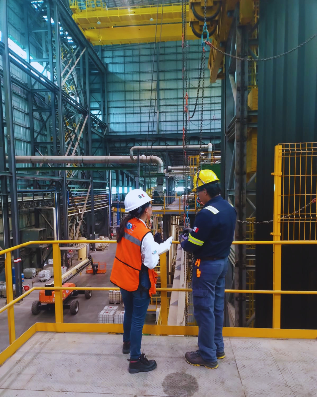 Visita a planta